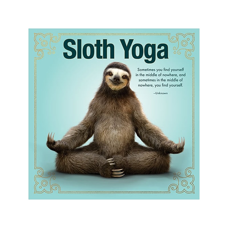 Sloth Yoga, Hardcover image 1
