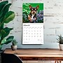 2026 BrownTrout Chihuahuas 12" x 12" Monthly Wall Calendar (9798330702947)~#|#~0B94F5E2-C513-4451-B1B8514212DA09FC_sc7