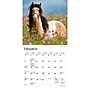 2027 BrownTrout Horse Lovers 7" x 7" Monthly Wall Calendar (9798330709823)~#|#~0B9A8AFF-966C-4966-9827C42792EB1C81_sc7