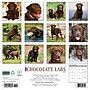 2026 Willow Creek Chocolate Labs 12" x 12" Monthly Wall Calendar (50705)~#|#~0BA5B13B-405E-4641-8C761FBB6927AE7C_sc7