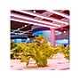 Viribright 11-Watts Full-Spectrum LED Leaf Grow Light Bulb (290108)~#|#~0BAE21FF-A6A4-45A3-A96351876BDD49E4_sc7