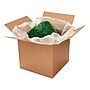 Scotch™ Designer Cushion Wrap, 12 in x 10 ft, 1/Pack (7920-HOMX-ESF)~#|#~0BC18DB0-C292-4495-B828C07BD8D0FC6E_sc7