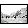 Amanti Art Moke Lake Horses IV by Laura Marshall Framed Canvas Wall Art Print, 33"W x 23"H (A42678809356)~#|#~0C07DD32-ECF2-4FF0-A266795A6E078469_sc7