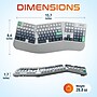 Delton KB450 Wireless Ergonomic Mechanical Keyboard, USB-A, White/Gray (DKBE450MWRWH)~#|#~0C255292-95FF-46F7-93259223D59BEA4F_sc7