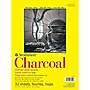Strathmore 300 Series 9" x 12" Charcoal Sketch Pad, 32 Sheets/Pad, 3/Bundle (STTP33010903-3)~#|#~0C3D76C4-4C31-4E15-97602E0C691A3950_sc7