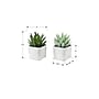Monarch Specialties Inc. 8" Artificial Succulent Plant in Pot, 2/Set (I 9363)~#|#~0C614EC7-9BF4-4D8B-B8EDF1BDF43EE16B_sc7