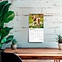2026 BrownTrout Beagles 7" x 7" Monthly Wall Calendar (9798330702374)~#|#~0C91FAD6-7791-40E8-84F3759D1C44D78D_sc7