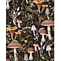 2027 Willow Creek Mushrooms 7.5" x 9.5" Monthly Desk Calendar, Assorted Colors (66904)~#|#~0C9DDC0A-7675-406F-87CF1C22856E8E66_sc7