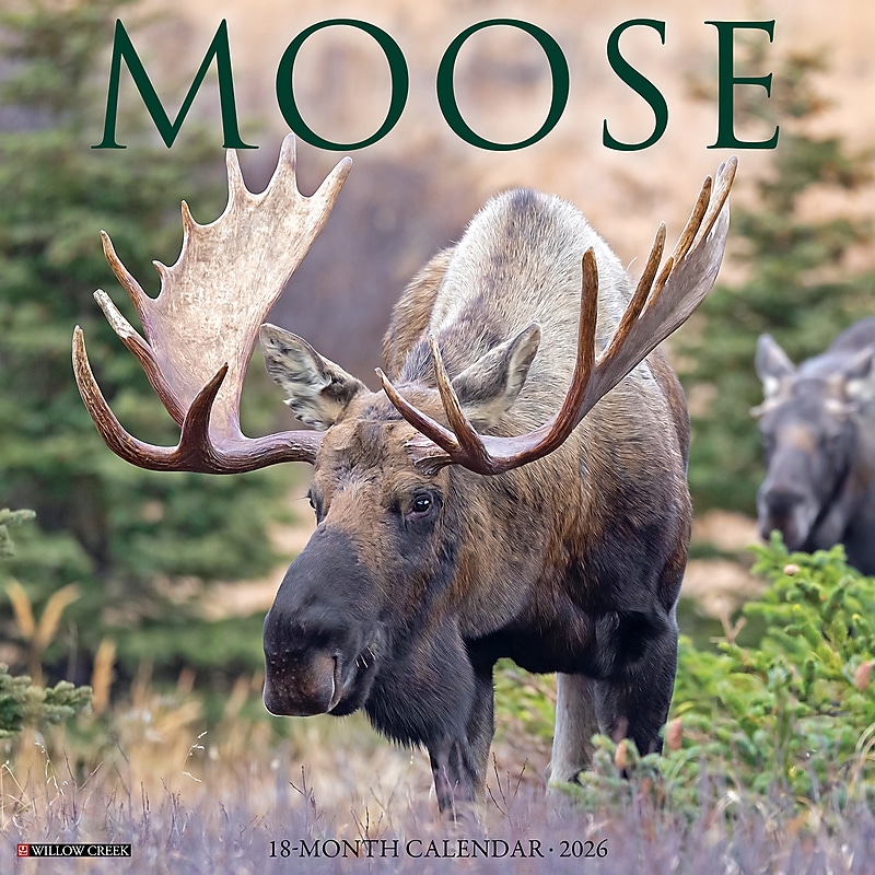2026 Willow Creek Moose 12" x 12" Monthly Wall Calendar (52020) image 1