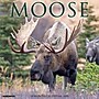 2026 Willow Creek Moose 12" x 12" Monthly Wall Calendar (52020)~#|#~0CA09326-C5E3-4456-B17D2A9041FE3494_sc7