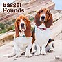 2026 BrownTrout Basset Hounds 12" x 12" Monthly Wall Calendar (9798330702329)~#|#~0CCC1642-CE3A-4EF9-93F18A20CF27C8F8_sc7