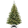 National Tree Company Kincaid Spruce Artificial Christmas Tree (KCDR-60LO)~#|#~0CFFF158-60E6-4F51-A4929B9DDFAD6C90_sc7