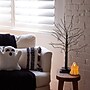 Nearly Natural Pre-Lit Artifiical Halloween Black Twig Tree, 2' (T5203)~#|#~0D01FC7D-ACA2-476B-87A0AA022D9DA7A4_sc7