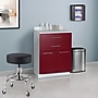 Viva Comfort 36'' H x 24" L Exam Room Medical Cabinet, 2-Doors, 2-Drawers, Claret (90224GRYCL)~#|#~0D027854-9883-43FF-A8CDA22A7AA12B41_sc7