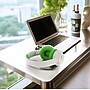 Altec Lansing Whiteout Series Wireless Bluetooth Kid Safe ANC Headphones, White/Green (MZX4500-WOGRN)~#|#~0D18968E-CA58-4875-A68F3A5D1C79503D_sc7