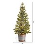 Nearly Natural Pine Natural Look Artificial Christmas Tree, 26" (T3402)~#|#~0D261093-F8D2-4F6B-BDD3CC66F88499DC_sc7