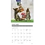 2027 Willow Creek Gettin' Squirrelly 7" x 7" Monthly Wall Calendar, Assorted Colors (64030)~#|#~0D2B3443-26B8-4023-A446781CEE21FCB8_sc7