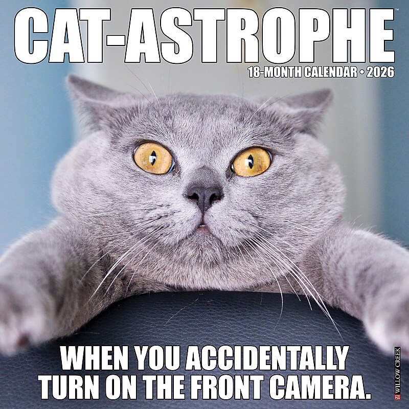 2026 Willow Creek Cat-astrophe 12" x 12" Monthly Wall Calendar (50606X) image 1