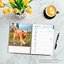 2027 BrownTrout Golden Retrievers 6.5" x 7.8" Calendar Year Weekly Standard Planner, Multicolor (9798330709502)~#|#~0D9F493D-F224-4410-AEBE85FAF21914B7_sc7