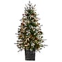 Nearly Natural Frosted Artificial Christmas Tree Pre-Lit, 4' (T3037)~#|#~0DA1EE70-7BBA-4F00-A392BE68B3316CF1_sc7