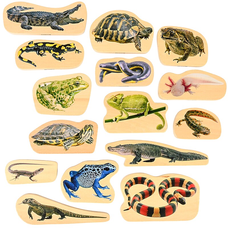 TickiT Wooden Reptile & Amphibian Blocks, Natural, 15/Set (CTU73570) image 1
