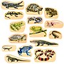 TickiT Wooden Reptile & Amphibian Blocks, Natural, 15/Set (CTU73570)~#|#~0DA8362E-9898-4F48-964B23D236AB0424_sc7
