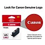Canon 65 PM Photo Magenta Standard Yield Ink Cartridge (4221C002)~#|#~0DADDB0F-E816-43B7-86714F75CC2980D9_sc7