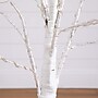Nearly Natural 4' Pre-Lit Artificial White Birch Tree with 240 Color Changing LED Lights (T4920)~#|#~0DBBBD7B-9769-433B-9C7C599028DCF159_sc7