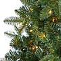 Nearly Natural 6' Grand Teton Spruce Flat Back Artificial Christmas Tree with 180 Clear LED Lights (T1863)~#|#~0DD270DD-95EE-442F-A42E745214E291A8_sc7