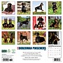 2026 Willow Creek Doberman Pinschers 12" x 12" Monthly Wall Calendar (55397)~#|#~0DE6593D-8037-4385-A251133AFBE8016D_sc7