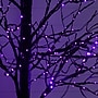 Nearly Natural Pre-Lit Halloween Black Twig Artificial Tree, 8' (T5169)~#|#~0DFDC127-78E2-460B-81532EC057639018_sc7