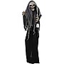 Haunted Hill Farm Life-Size Animatronic Skeleton Reaper (HHRPR-24FLSA)~#|#~0E033350-CD3E-4FA0-934C8F75FA77EDAE_sc7