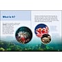 Animals That Break the Rules Picture Book, Hardcover~#|#~0E0A116D-9BFD-4A71-B60B8114B7966A5E_sc7