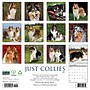 2027 Willow Creek Collies 2027 12" x 12" Monthly Wall Calendar, Assorted Colors (59814)~#|#~0E16A50C-2E93-4AA2-B121F08ACB2F9962_sc7