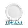 Perk™ Eco Compostable Paper Plates, 6", White, 250/Pack (PK61286)~#|#~0E1D70F3-5BC6-4D9A-ADE8C07553898B18_sc7