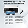 Canon 271 Cyan High Yield Ink Cartridge (0337C001)~#|#~0E27F7A6-ECA1-4E37-87A597092391AE8D_sc7