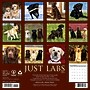 2027 Willow Creek Labs  12" x 12" Monthly Wall Calendar (60988)~#|#~0E292A24-78FF-4974-B9237E7DAD5D831B_sc7