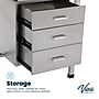 Viva Comfort Adjustable Medical Exam Table with Storage, Black (ADI996-01-DR3-BLK-MK)~#|#~0E33A7B4-7150-481E-BABC36777A612703_sc7
