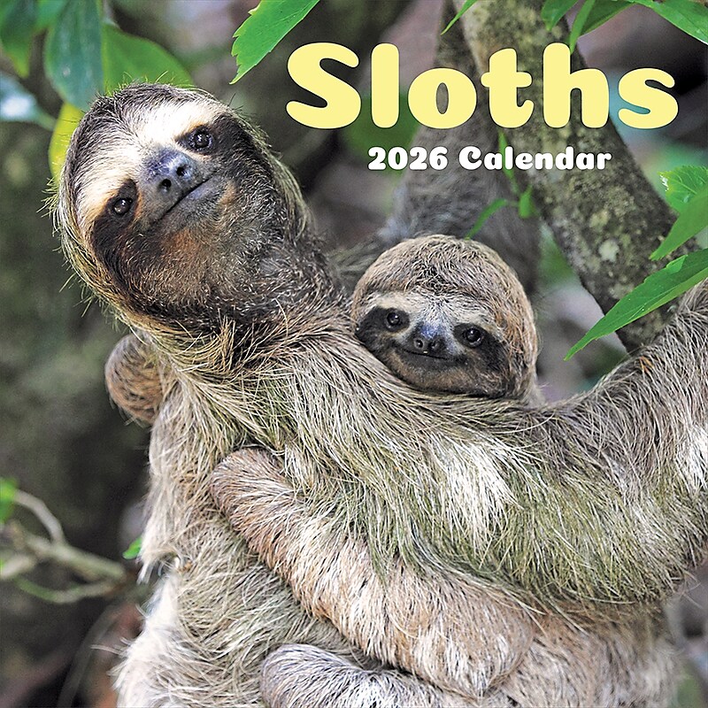 2026 TF Publishing Sloths 12" x 12" Monthly Wall Calendar (26-1045) image 1