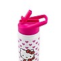 Hello Kitty Stainless Steel Double Wall Insulated Flip Straw Water Bottle, 20 oz. (C6B139SL)~#|#~0E3C8BB3-3173-4864-8D157D997027AD94_sc7