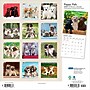 2026 Plato Puppy Pals 12" x 12" Monthly Wall Calendar (9798330706839)~#|#~0E4015F8-E3DB-48FB-B5E9DF3FCBAE2AB1_sc7