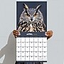 2026 TF Publishing Owls 12" x 12" Monthly Wall Calendar (26-1044)~#|#~0E4AE1F9-E2B5-489F-B17089EABB0195F8_sc7