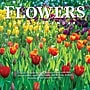2026 TF Publishing Flowers 12" x 12" Monthly Wall Calendar, Multi (26-1034)~#|#~0E64DEEA-BBEE-4467-A18C91C55A0587A2_sc7