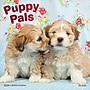 2026 Plato Puppy Pals 12" x 12" Monthly Wall Calendar (9798330706839)~#|#~0E6A7F62-8840-4BF6-9B336239E800E8FB_sc7