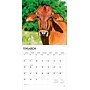 2026 BrownTrout Cows 12" x 12" Monthly Wall Calendar (9798330703067)~#|#~0E86B4E8-C1E8-46D4-BA9A2256CF55625E_sc7