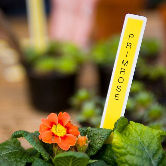 Brother P-touch TZe-631 Laminated Label Maker Tape, 1/2