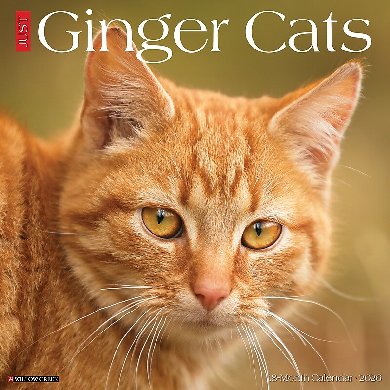 2026 Willow Creek Ginger Cats 12" x 12" Monthly Wall Calendar (51269) image 1