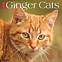 2026 Willow Creek Ginger Cats 12" x 12" Monthly Wall Calendar (51269)~#|#~0E91B7A2-E9EC-4D45-849A7D411773772E_sc7