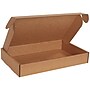 19" x 12" x 3" Literature Mailer, Brown, 25/Bundle (MFL19123K)~#|#~0E993DBA-AFB3-4FCD-B2627ECB5987F8C7_sc7