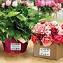 Avery Laser/Inkjet Decorative Edge Multipurpose Labels, 2" x 3", White, 400 Labels/Box (94267)~#|#~0EB967B2-75D6-46B7-814446DEF9097ABA_sc7